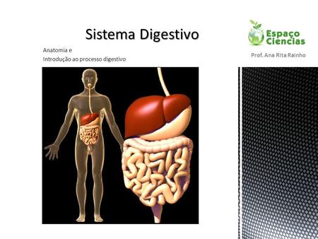 Anatomia e Introdução ao processo digestivo