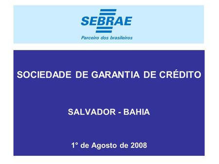 . SOCIEDADE DE GARANTIA DE CRÉDITO SALVADOR - BAHIA 1° de Agosto de 2008.
