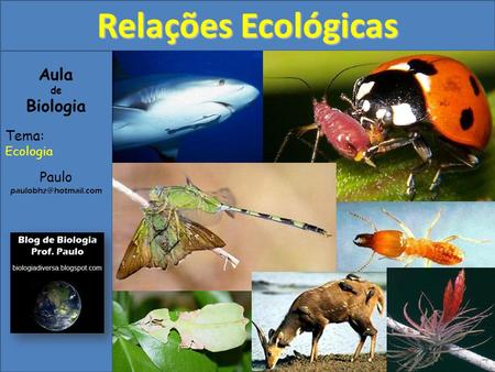 Relações Ecológicas Aula Biologia Tema: Paulo Ecologia de
