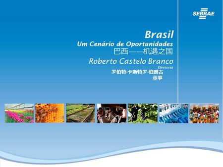 Brasil 巴西——机遇之国 Roberto Castelo Branco Um Cenário de Oportunidades