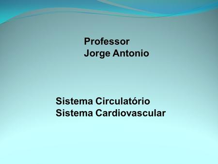 Professor Jorge Antonio Sistema Circulatório Sistema Cardiovascular.