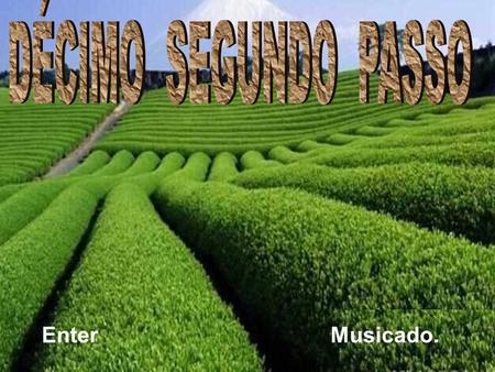 DÉCIMO SEGUNDO PASSO Enter Musicado. Ria slides.