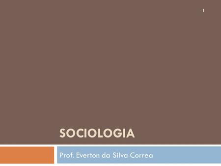 Prof. Everton da Silva Correa