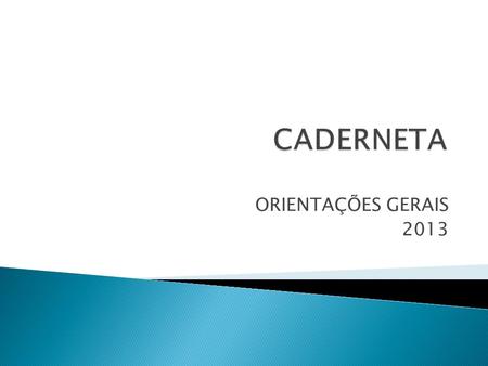 CADERNETA ORIENTAÇÕES GERAIS 2013.