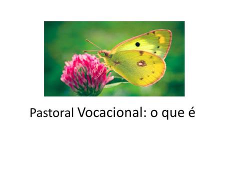 Pastoral Vocacional: o que é