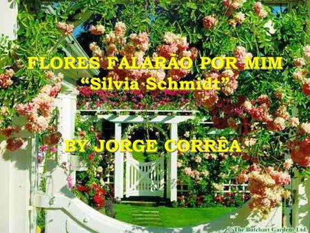 FLORES FALARÃO POR MIM “Silvia Schmidt” BY JORGE CORRÊA.