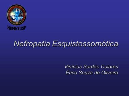 NEFRO USP Nefropatia Esquistossomótica Vinícius Sardão Colares Érico Souza de Oliveira.