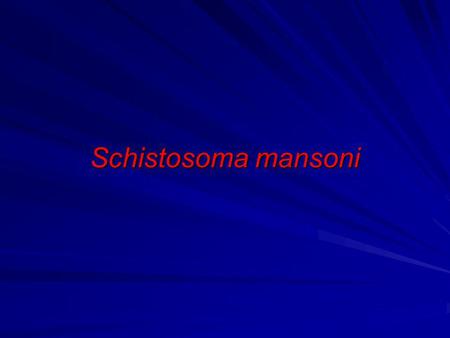 Schistosoma mansoni.