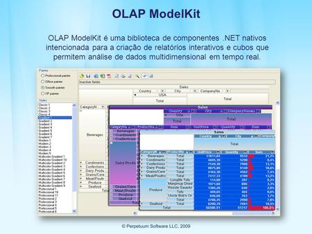 OLAP ModelKit OLAP ModelKit é uma biblioteca de componentes .NET nativos intencionada para a criação de relatórios interativos e cubos que permitem análise.