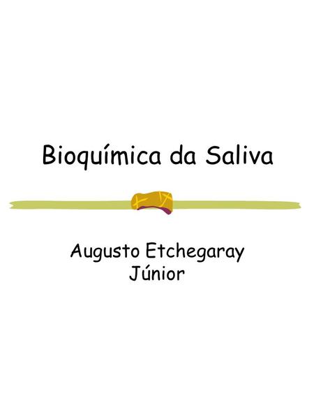 Augusto Etchegaray Júnior