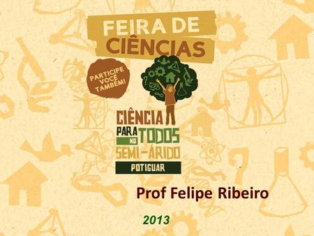 2013 Prof Felipe Ribeiro. Como preencher o formulário de elaboração de projetos?