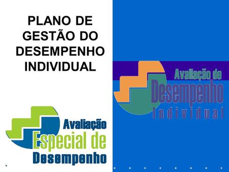 PLANO DE GESTÃO DO DESEMPENHO INDIVIDUAL