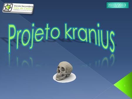 2012/2013 Projeto kranius.