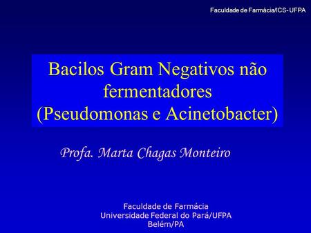 Bacilos Gram Negativos não fermentadores (Pseudomonas e Acinetobacter) Faculdade de Farmácia Universidade Federal do Pará/UFPA Belém/PA Profa. Marta Chagas.