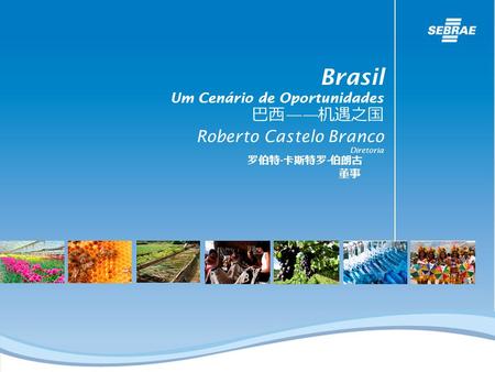Brasil Um Cenário de Oportunidades Roberto Castelo Branco Diretoria - -
