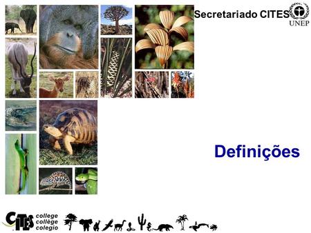 Secretariado CITES Definições.
