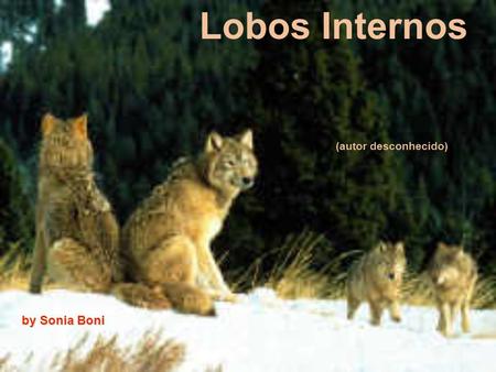 Lobos Internos (autor desconhecido) by Sonia Boni.