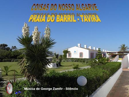COISAS DO NOSSO ALGARVE PRAIA DO BARRIL - TAVIRA