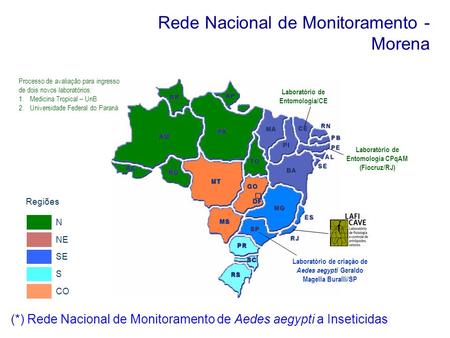 Rede Nacional de Monitoramento - Morena