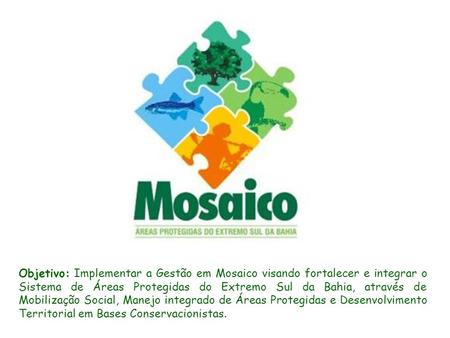 Objetivo: Implementar a Gestão em Mosaico visando fortalecer e integrar o Sistema de Áreas Protegidas do Extremo Sul da Bahia, através de Mobilização Social,