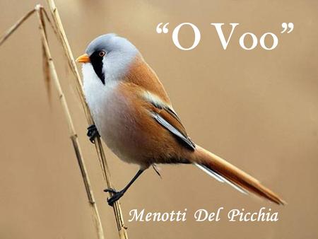 “O Voo” Menotti Del Picchia.