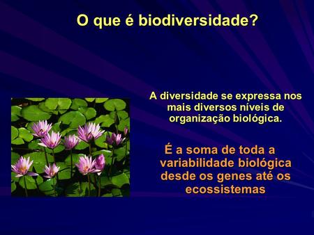 O que é biodiversidade? A diversidade se expressa nos mais diversos níveis de organização biológica. É a soma de toda a variabilidade biológica desde os.