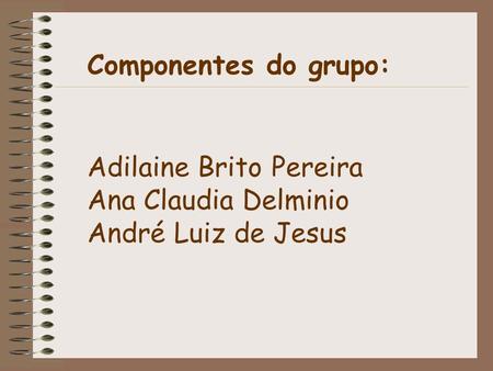 Componentes do grupo: Adilaine Brito Pereira Ana Claudia Delminio