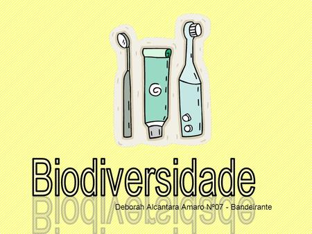 Biodiversidade Deborah Alcantara Amaro Nº07 - Bandeirante.