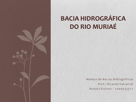 BACIA HIDROGRÁFICA DO RIO MURIAÉ
