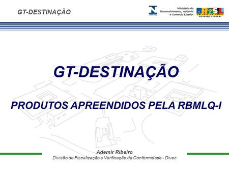 GT-DESTINAÇÃO Ademir Ribeiro Divisão de Fiscalização e Verificação da Conformidade - Divec GT-DESTINAÇÃO PRODUTOS APREENDIDOS PELA RBMLQ-I.