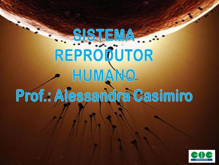Prof.: Alessandra Casimiro