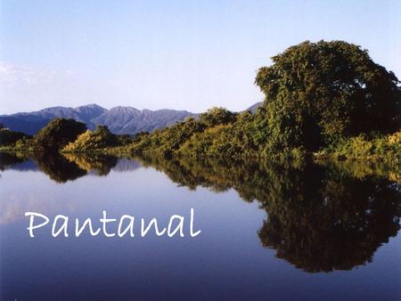 Pantanal.