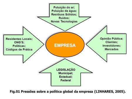 Fig.01 Pressões sobre a política global da empresa (LINHARES, 2005).