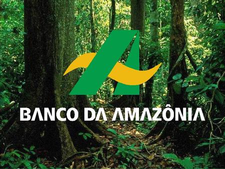 Comissão da Amazônia, Integração Nacional e de Desenvolvimento Regional