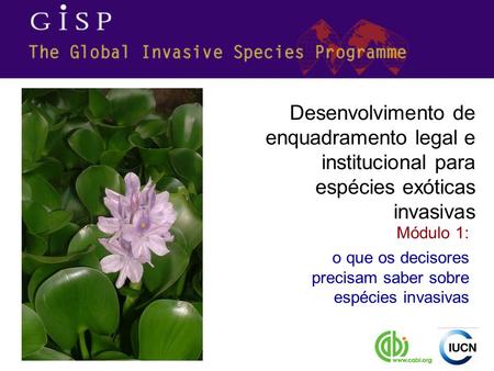 Desenvolvimento de enquadramento legal e institucional para espécies exóticas invasivas Módulo 1: o que os decisores precisam saber sobre espécies invasivas.