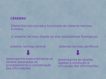 CÉREBRO Elementos estruturais e funcionais do sistema nervoso humano.