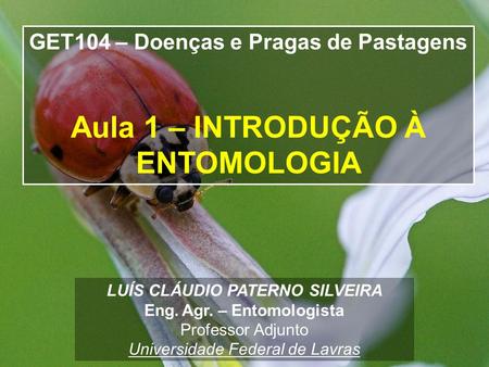 LUÍS CLÁUDIO PATERNO SILVEIRA Eng. Agr. – Entomologista