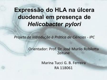 Expressão do HLA na úlcera duodenal em presença de Helicobacter pylori Projeto de Introdução à Prática de Ciências - IPC Orientador: Prof. Dr. José Murilo.