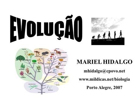 EVOLUÇÃO MARIEL HIDALGO
