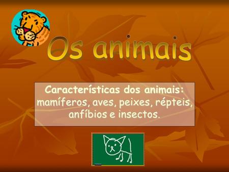 Os animais Características dos animais: mamíferos, aves, peixes, répteis, anfíbios e insectos.