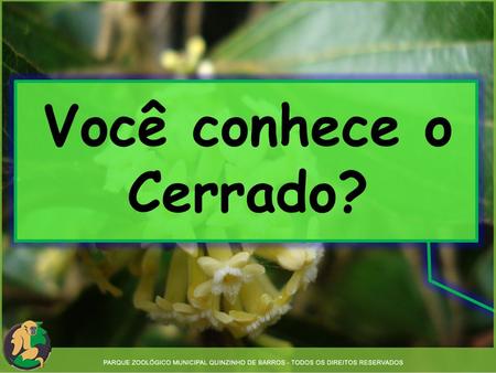 Você conhece o Cerrado?.