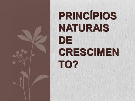 Princípios Naturais de Crescimento?