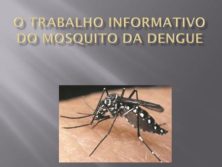o trabalho informativo do mosquito da dengue
