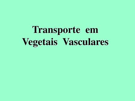 Transporte em Vegetais Vasculares