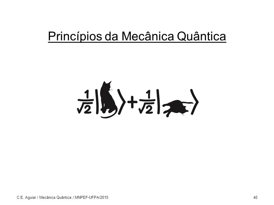 Principios da mecanica quantica
