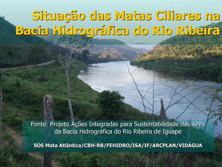 Situação das Matas Ciliares na Bacia Hidrográfica do Rio Ribeira