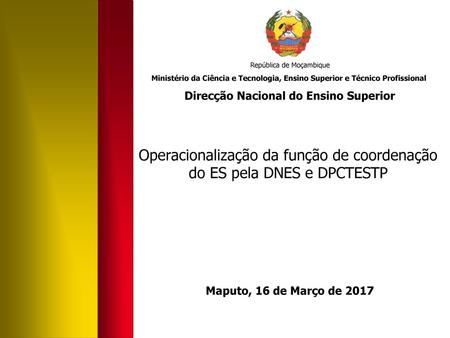 Operacionalização da função de coordenação do ES pela DNES e DPCTESTP