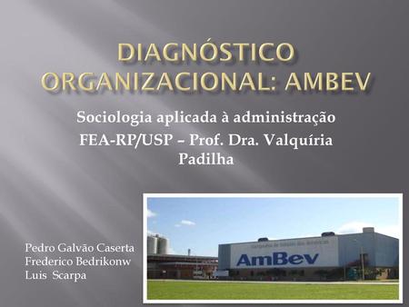 Diagnóstico organizacional: Ambev