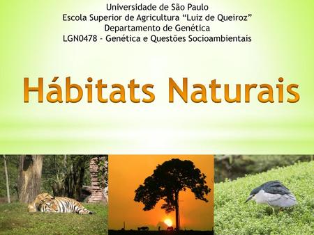 Hábitats Naturais Universidade de São Paulo