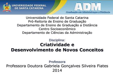 Universidade Federal de Santa Catarina Pró-Reitoria de Ensino de Graduação Departamento de Ensino de Graduação a Distância Centro Socioeconômico Departamento.